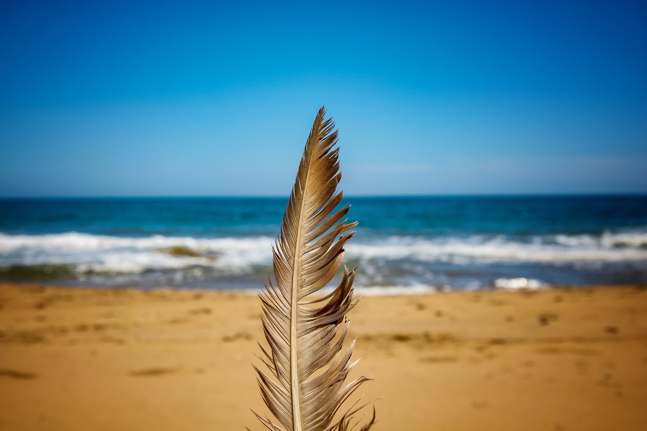 Descubriendo las mejores calas de la Costa Cálida en la Región de Murcia