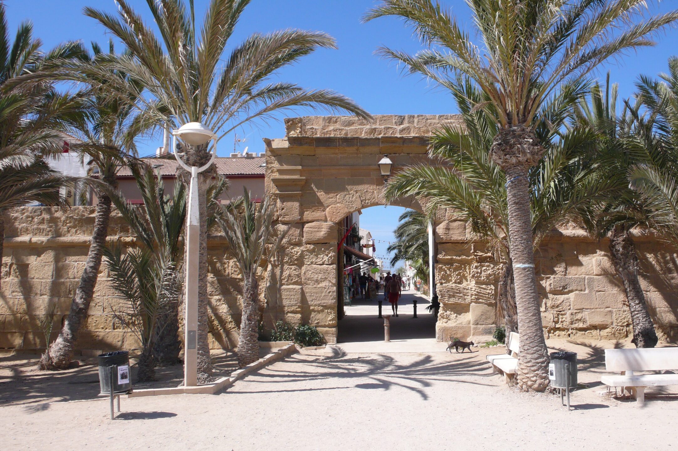 Excursión de un día a la Isla de Tabarca y a Santa Pola desde Murcia